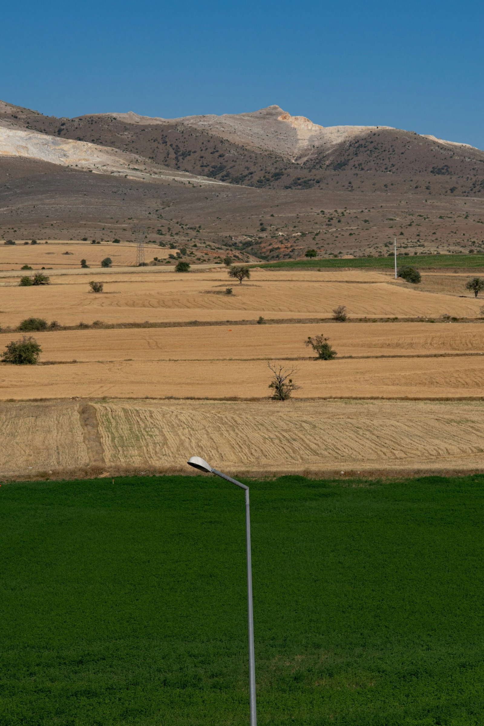 green grass field near mountain during daytime